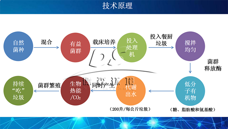 易腐質(zhì)垃圾處理設(shè)備