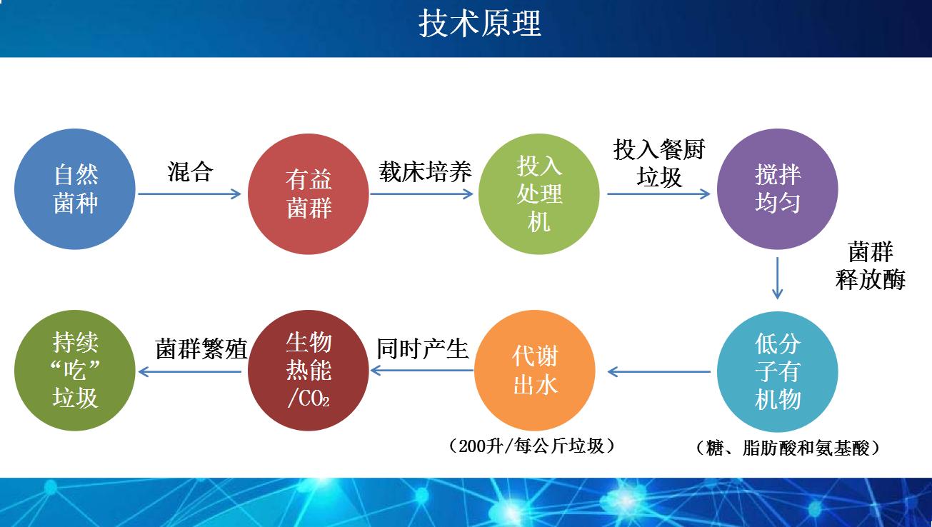 微生物處理技術(shù)的應(yīng)用原理